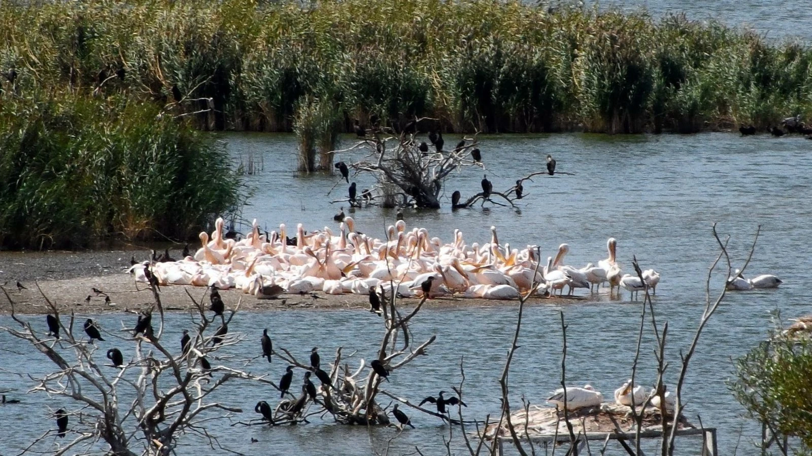 Kuşcenneti Millî Parkı, Balıkesir